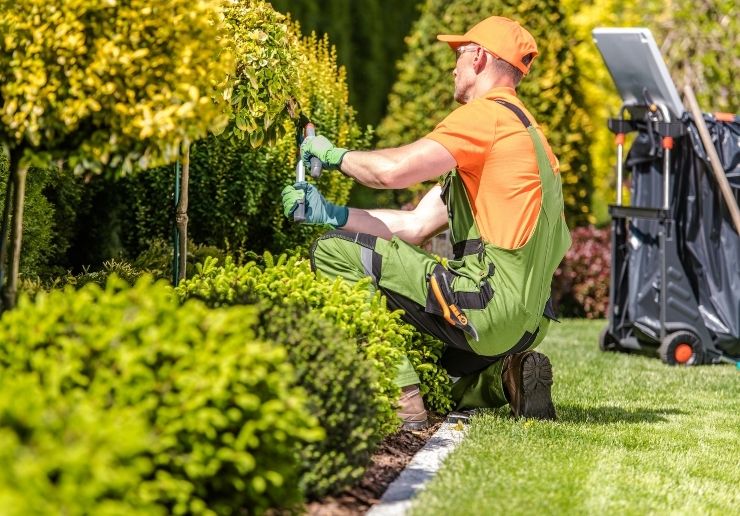 Çevre Düzenlemesi ve Drenaj 